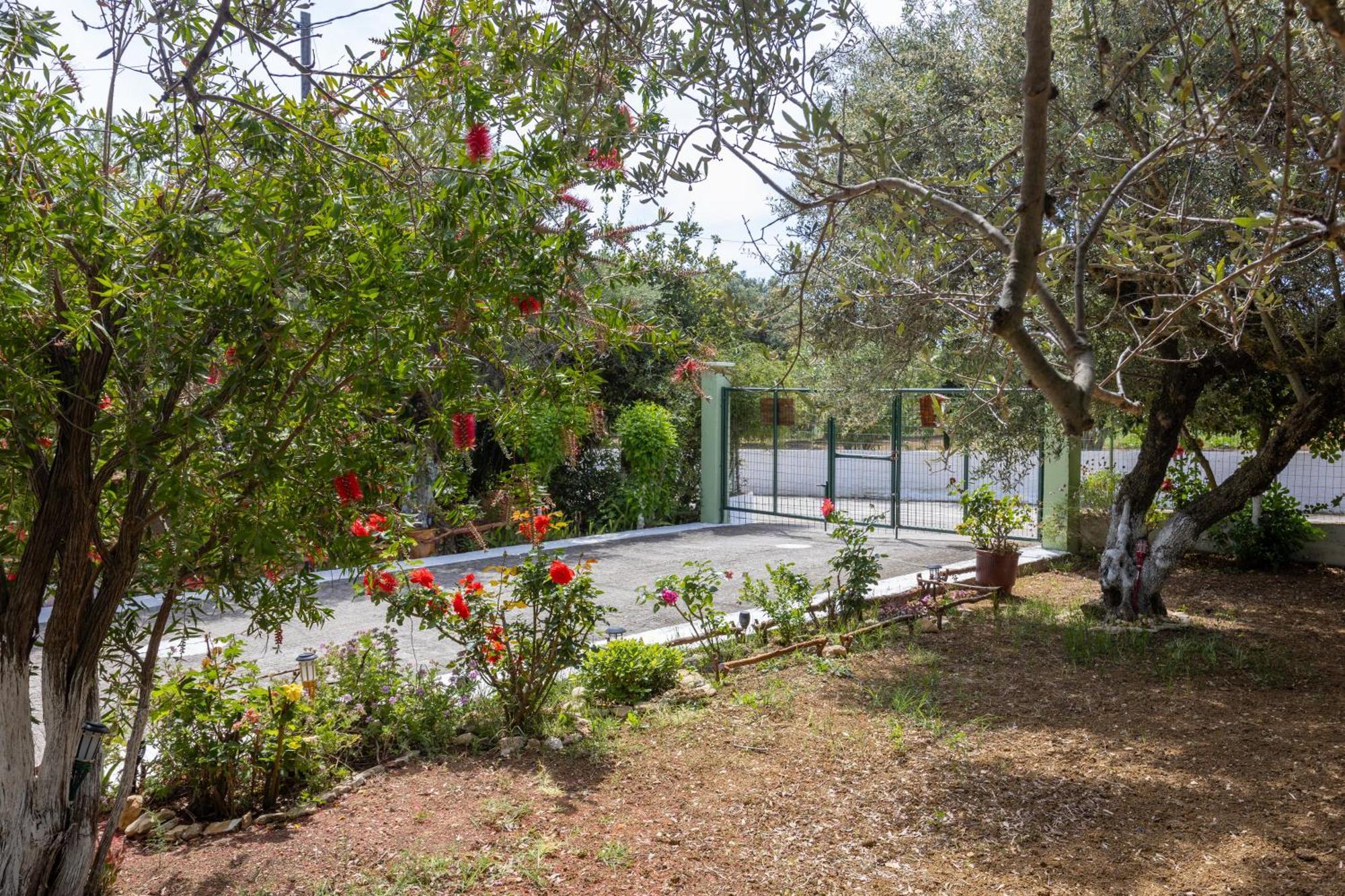 Sea & Olives House Villa Lixouri Ngoại thất bức ảnh